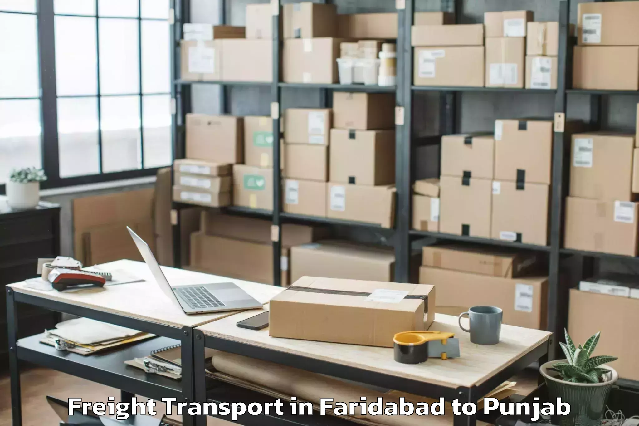 Faridabad to Mansa Freight Transport